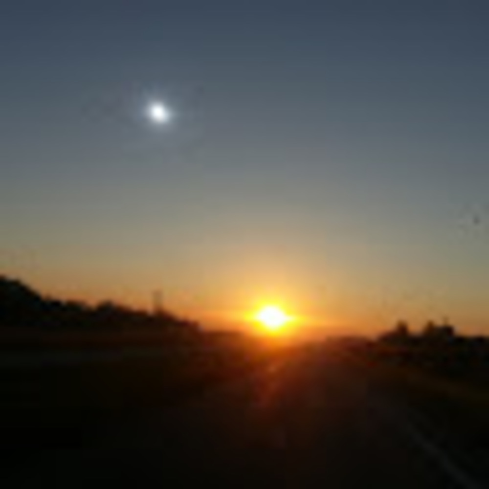 Meet your Posher, Dr. x